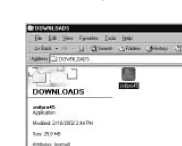 Figure 2.2 The Sniffer Pro CD-ROM Icon