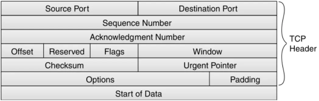 Figure 3.2 shows the layout of the datagram with the TCP header in place.