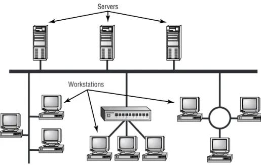 Figure 1.1, earlier in this chapter, shows a sample network. Physical  resources, such as hard-drive space and memory, must be greater in a server  than in a workstation because the server needs to provide services to many  clients