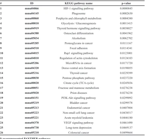 Table 4: Pathways affected at the transcriptional and protein level in all analysed AML materials in the multiomics analysis