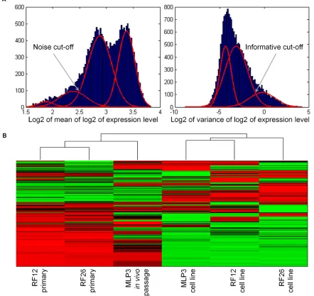 Figure 2: Unsupervised heat map of transcriptomics analysis, showing clustering of the primary and in vivo passaged samples and the AML cell lines