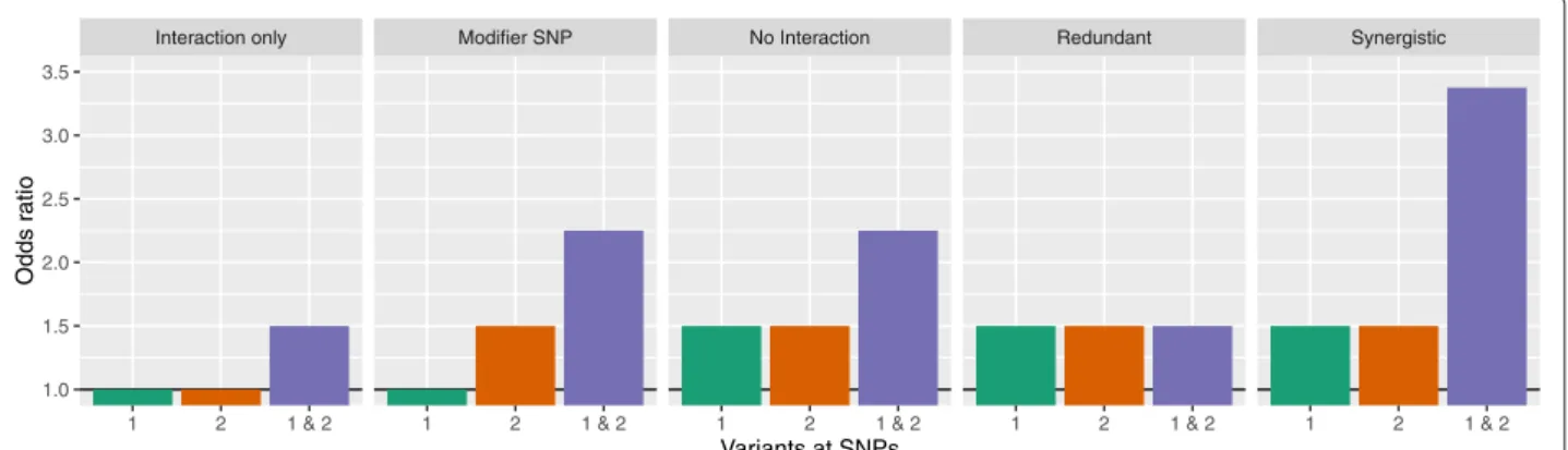 Fig. 2 Interaction models. Odds ratios for different interaction models, depending on a variant at the first SNP only, the second SNP only or at both SNPs