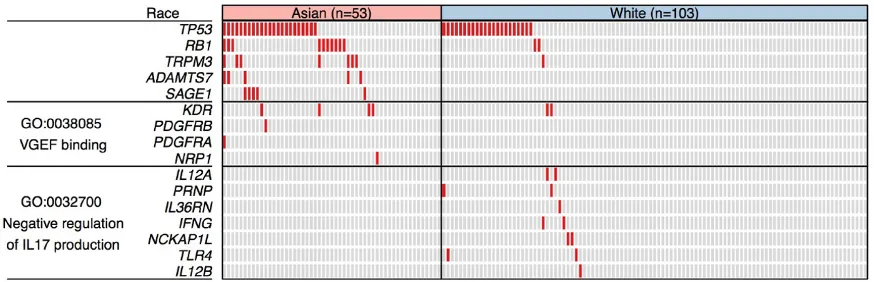 Figure 1: Differentially mutated genes and pathways between hepatocellular carcinoma (HCC) patients of Asian and European ancestry
