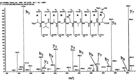 Figure 1.2  Peptide fragmentation 