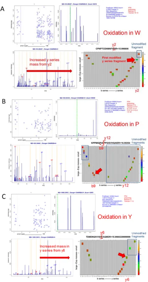 Figure 12: Vseq analyses of 3 peptides containing oxidations incorrectly assigned to Met by CS