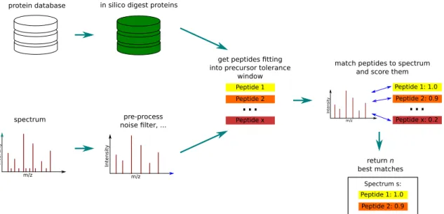 Figure 3.1: Schematic overview of a protein database search. The proteins in a database are in silico digested using the specified cleavage sites