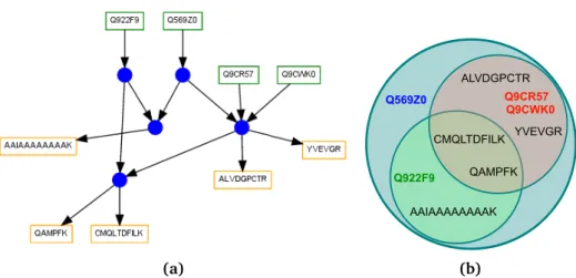Figure 3.4: Sample showing the connections between accessions, peptides and PSMs for a more complex cluster