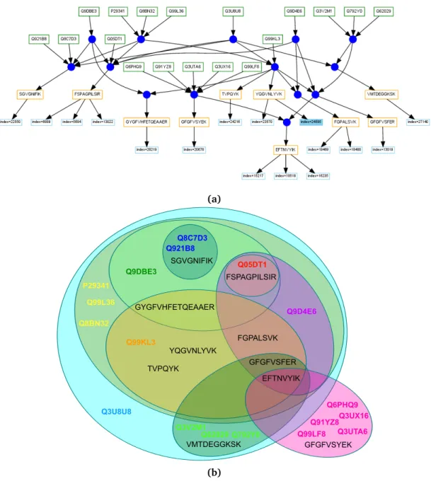 Figure 3.5: Sample showing the connections for a rather complex sample. additionally to Figures 3.3 and 3.4, this example contains sub-groups having no common peptides with any other group