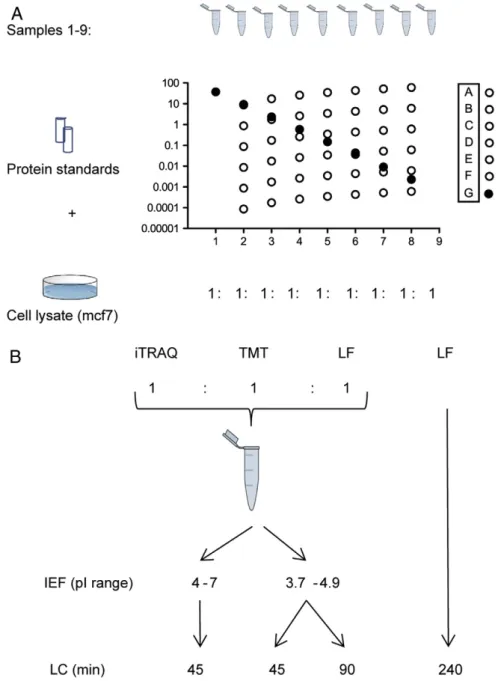 Fig. 1 – Samples and experimental design. (A) The samples were prepared using a mammalian cell line as background, into which 57 standard proteins in concentrations ranging 5 orders of magnitude were spiked