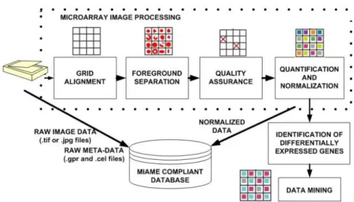 Figure 2.5: Microarray data processing workflow [47].