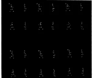 Figure 1 - Point Light Display of Posture [15] 