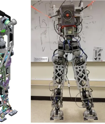 Figure 2: TigerBot, as (a) a SolidWorks model and (b) the physical build.  