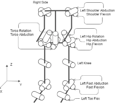 The anatomy of TigerBot follows a typical humanoid robot, as seen in Figure 3. Figure 3 also  shows the conventional coordinate system