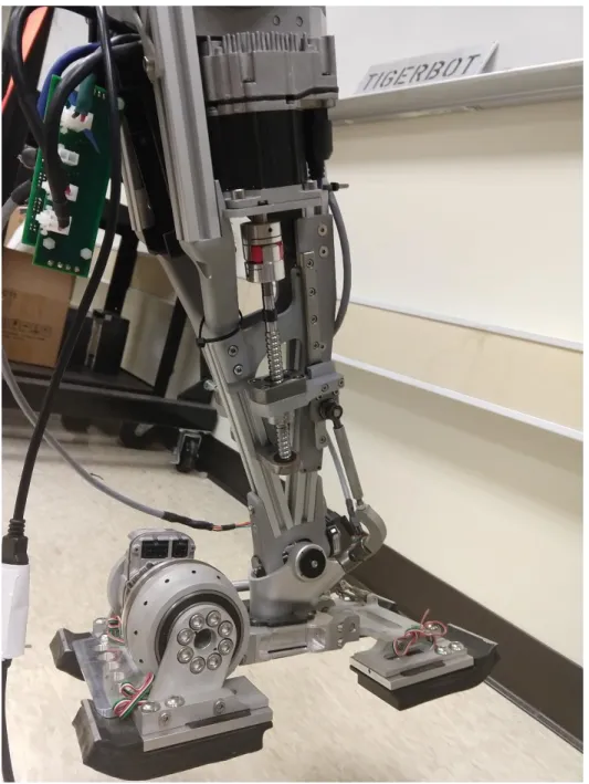 Figure 4: The right shank and foot. This shows how the Teknic Clearpath servo connects to a linear  actuator, which itself is attached to the back of the ankle
