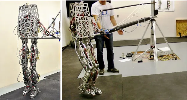 Figure 2.1: The human-sized planar bipedal robot: AMBER 3.