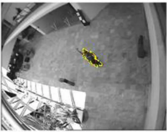 Figure 2.17: Frame 60 of the video sequence after deformation and progression 