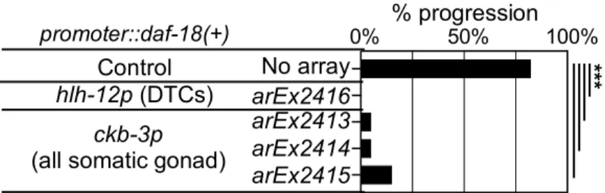 Figure S2.  Additional tissue-specific daf-18(+) rescue experiments.  Related to Figure  2.