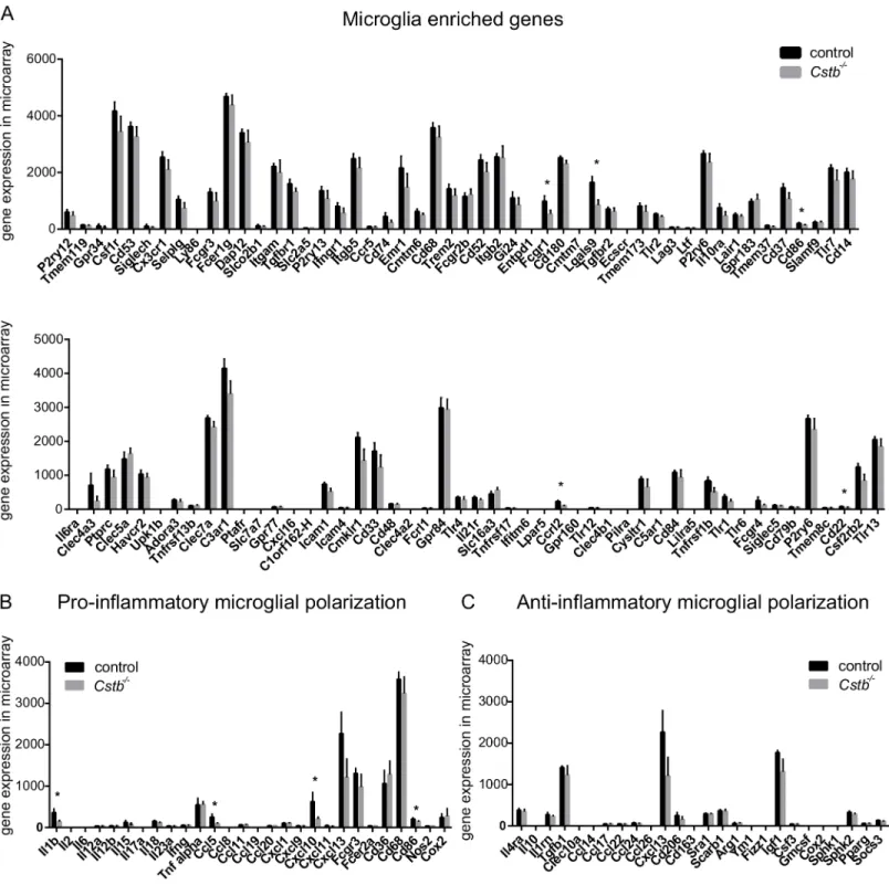 Fig 3. Microarray expression values of genes associated with microglia or microglial activation in control and Cstb -/- microglia
