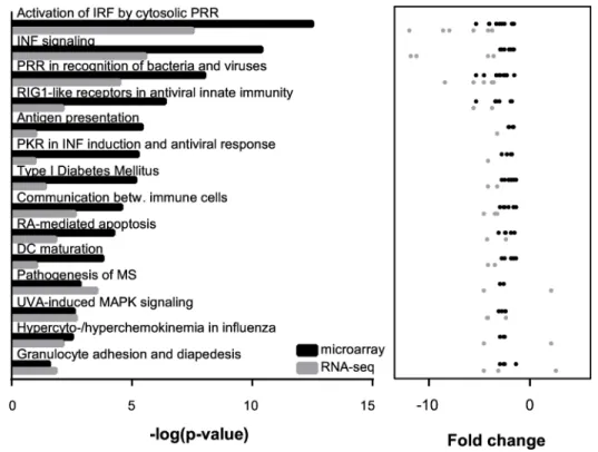 Fig 4. Canonical pathways enriched in Cstb -/- microglia identified by microarray and RNA-seq analyses