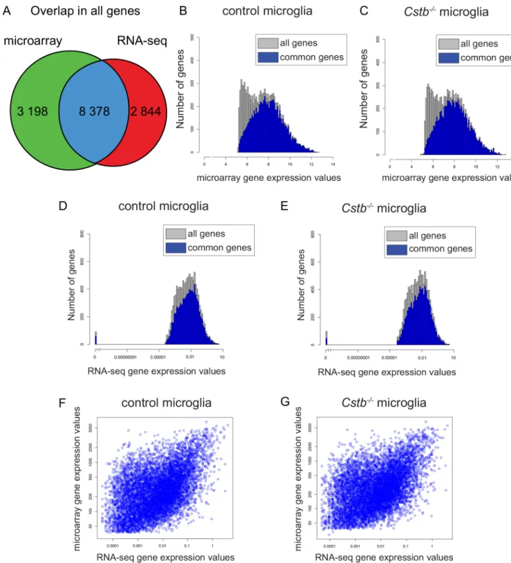 Fig 1. Gene expression values identified by microarray- and sequencing-based transcriptome profiling of Cstb -/- microglia