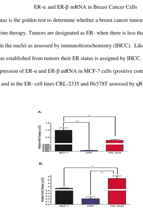 Figure 3. ER-α and ER-β mRNA expressed as fold change of mRNA expression in MCF- MCF-7,  CRL-2335  and  Hs578T  cells