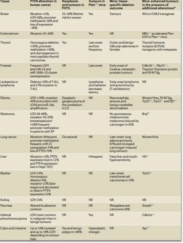 Figure 2.3. List of tissue-specific evidence for PTEN alterations in cancers.    