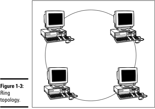 Figure 1-3:Ring