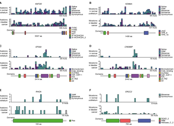 Fig. S3. Distribution of mutations within selected genes. 
