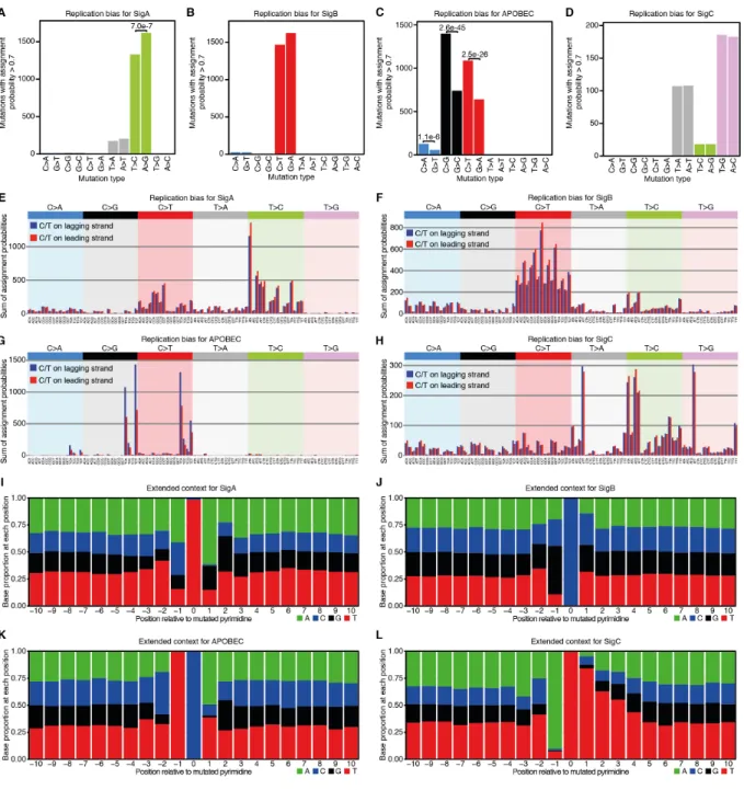 Fig. S10. Replicational strand asymmetries and extended contexts of mutational signatures