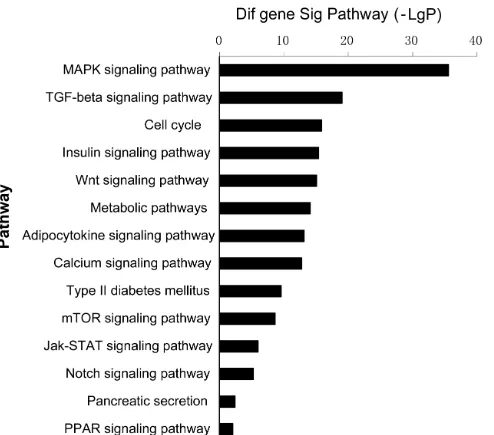 Figure 5: Pathway analyses for predicting target genes of meta-signature miRNAsin Kyoto Encyclopedia of Genes and Genomes (KEGG) database