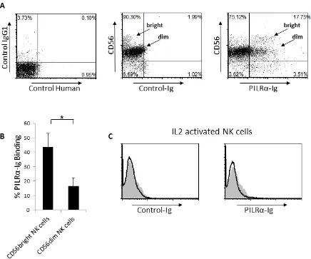 Figure 1: PILRα-Ig binds an unknown receptor on NK cells. A. Dot plot FACS staining of freshly isolated NK cells, left is the setup controls, middle is the double staining with anti-CD56 and with control-Ig fusion protein and right is the double staining o