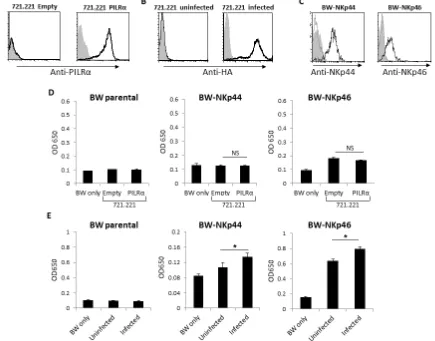 Figure 2: PILRα expressing cells does not increase IL2 secretion of BW-NKp44 and BW-NKp46 cells