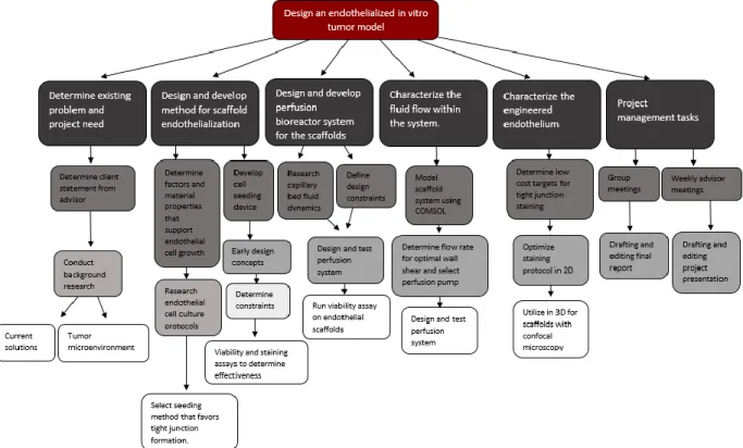 Fig. 3.2 Work breakdown structure for in vitro endothelialized tumor model. 