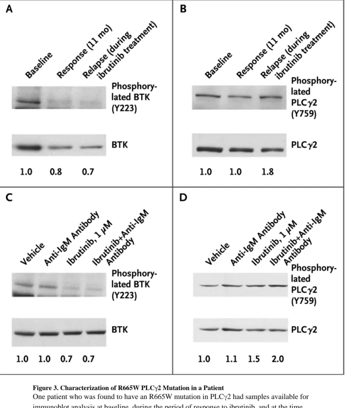Figure 3. Characterization of R665W PLCγ2 Mutation in a Patient