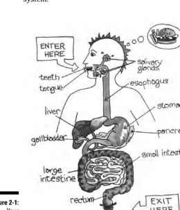 Figure 2-1:Your