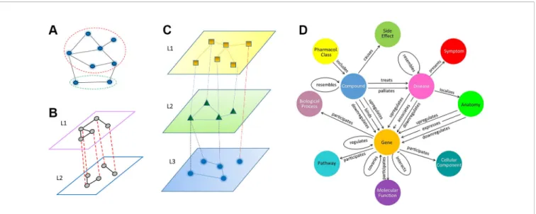 FIGURE 1 | Illustration of three types of network models, (A) homogeneous network, where all nodes and edges are treated equally, even though they may belong to different types (dashed red and green circles)