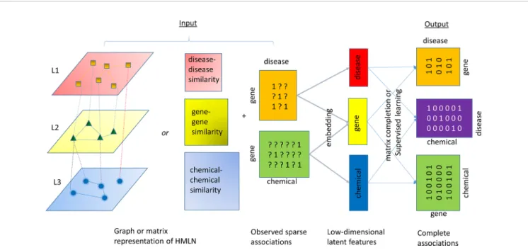 FIGURE 3 | An illustration of the common algorithmic framework for the relation inference (link prediction)