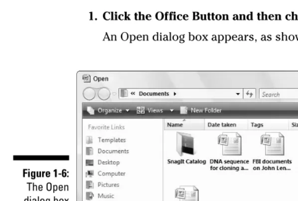 Figure 1-6:The Open
