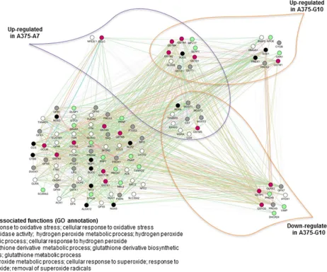 Figure 6: Coexpressed genes of the AOS network in A7 and G10. Coexpression of the AOS genes in A7 and G10 vs control (average result of A375 and PCDNA3)