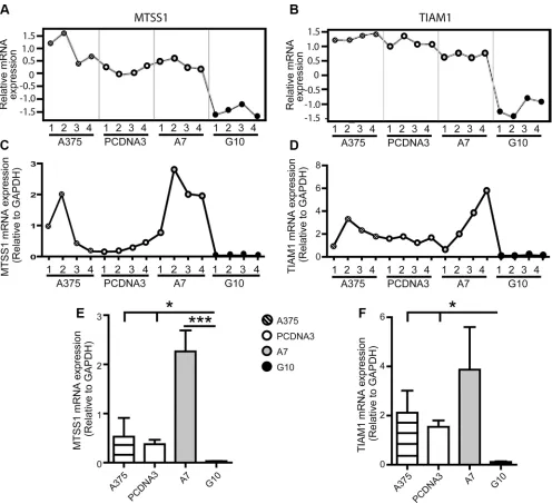 Figure 3: Validation of microarray data by qPCR analysis of selected G10 downregulated genes: MTSS1 and TIAM1