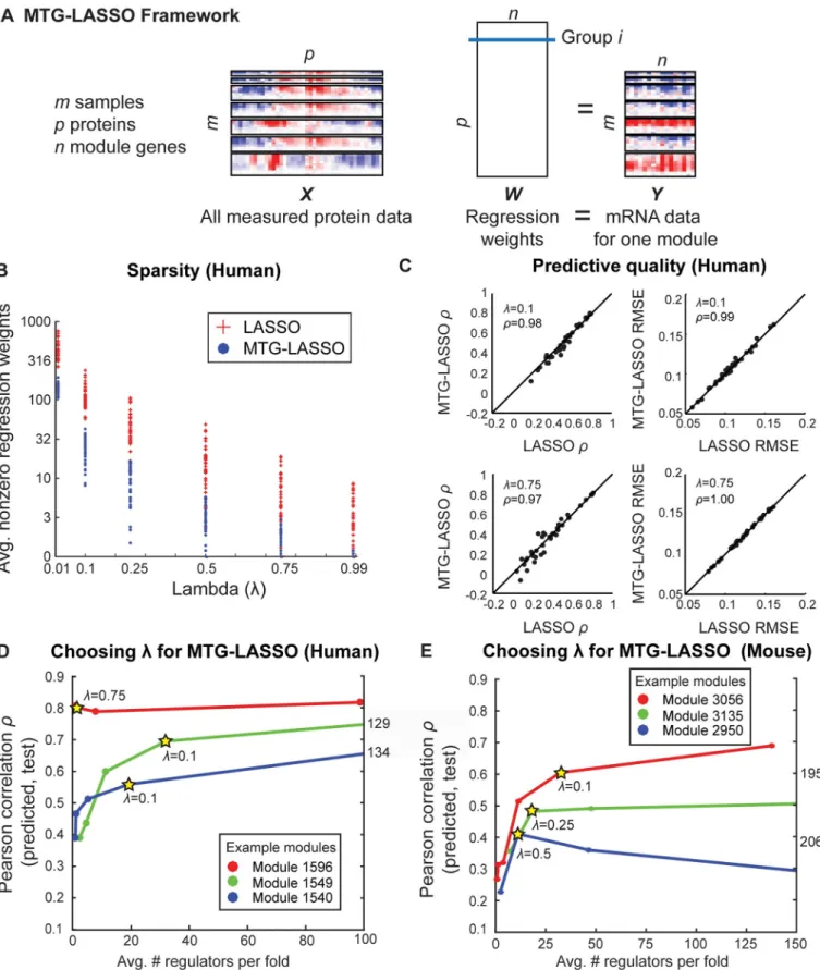 Fig 5. Multi-task Group LASSO (MTG-LASSO) structured-sparsity approach for integration of protein data with expression-based regulatory module networks