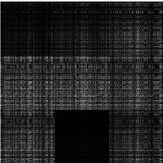Figure 4.3. Image as a result of elementary row operation (the cancellable fingerprint image)