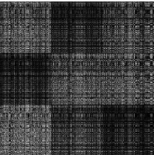 Figure 4.6. Images of the cancellable algorithm