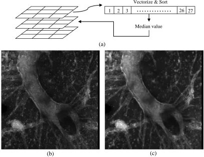 Figure 6. (a) The graph shows the process of the three-dimensional median filter, while (b) and (c) shows the z-projected version of the images before and after the filtering respectively
