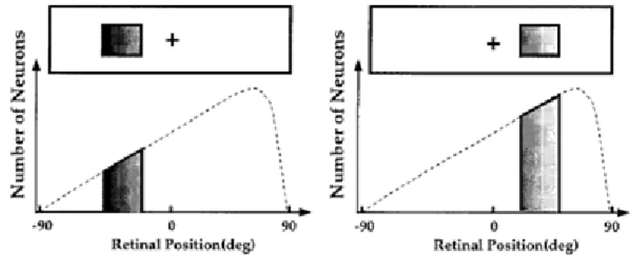 Figure 6.  A graphical depiction of relative egocentric neglect.  The grey boxes above the  graphs represent an object being positioned at that point in the visual field, with 0 aligning  with the midline of the patients’ egocentric reference frame