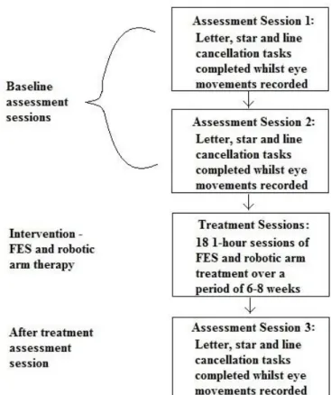 Figure 8. Consort diagram demonstrating the design of Experiment 1, including all  assessment and treatment sessions