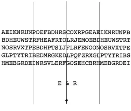 Figure 9. Regions of interest, denoted by the vertical lines, imposed on the letter 