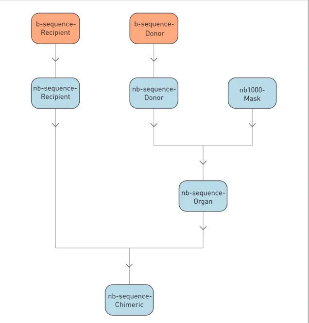 Figure 2.2 - Chimeric image creation flow diagram.