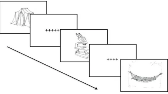 Figure 3.5. Item presentation on a laptop computer for the picture naming task  1.3 Response Scoring 