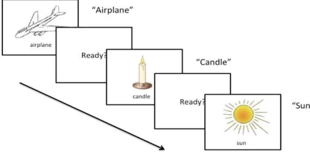 Figure 3.6. Item presentation in the verb generation task   2.3 Response Scoring.  